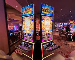 333bet25